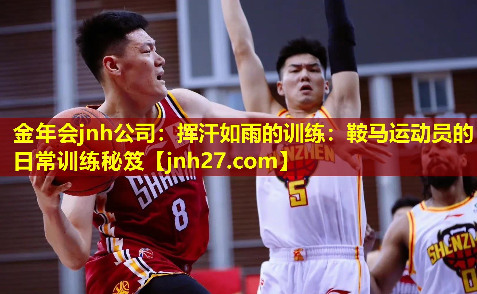 金年会jnh公司：挥汗如雨的训练：鞍马运动员的日常训练秘笈