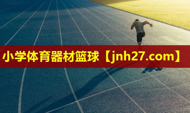 小学体育器材篮球