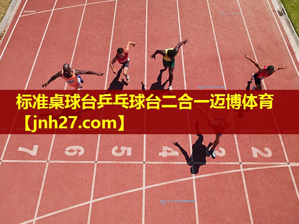 标准桌球台乒乓球台二合一迈博体育