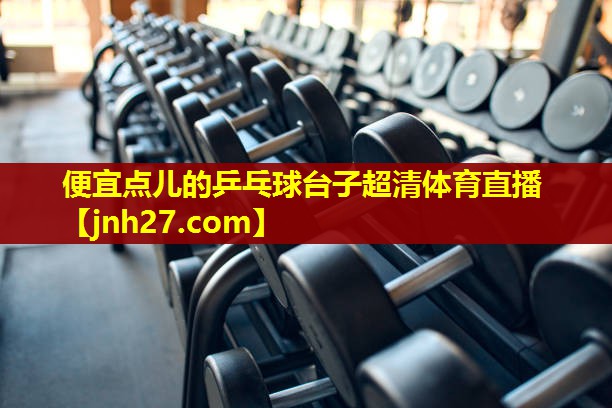 便宜点儿的乒乓球台子超清体育直播
