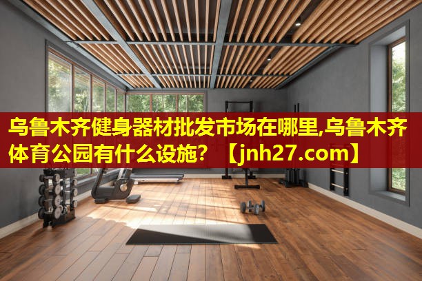 乌鲁木齐健身器材批发市场在哪里,乌鲁木齐体育公园有什么设施？