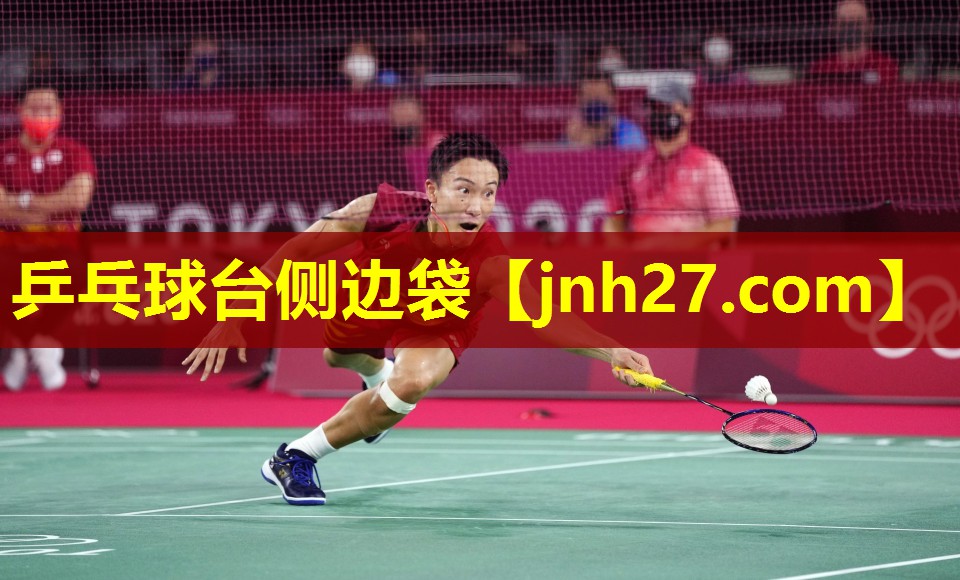 乒乓球台侧边袋